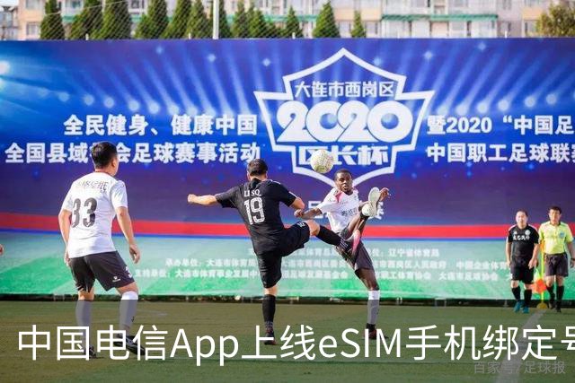 中国电信App上线eSIM手机绑定号码数量查询功能